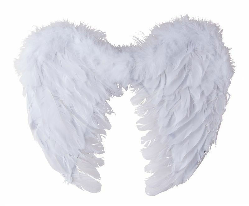 AILE-PLUME-BLANCHE