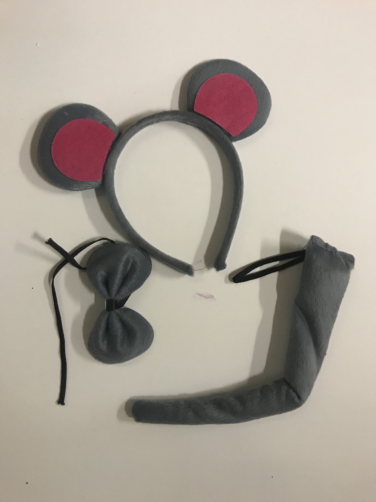 KIT-SOURIS
