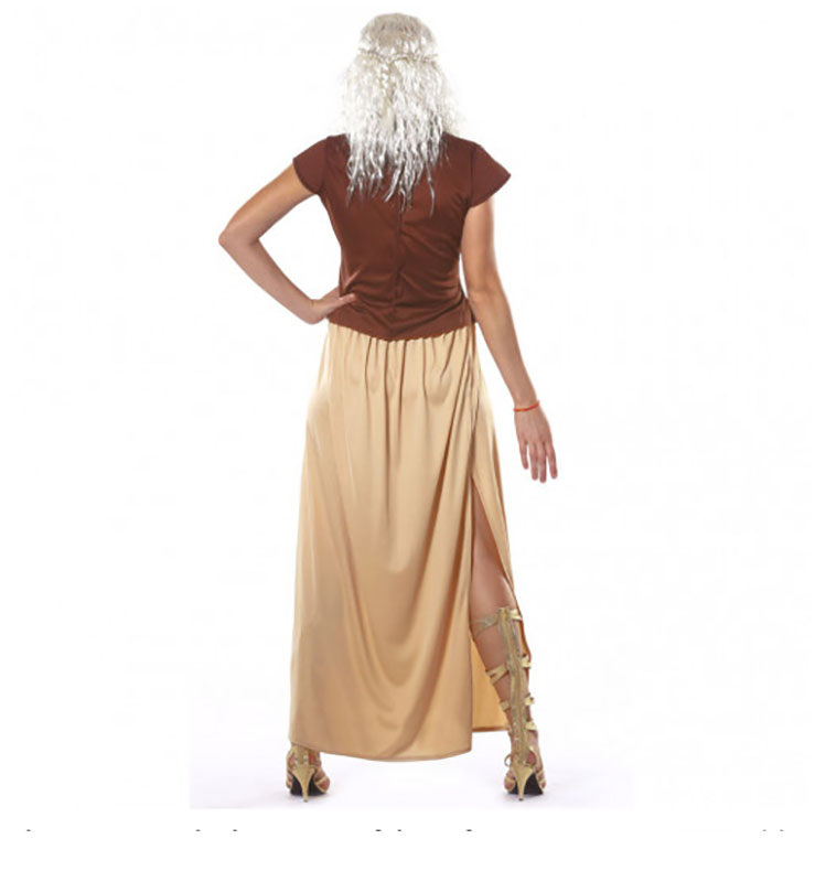 deguisement reine des dragons 1