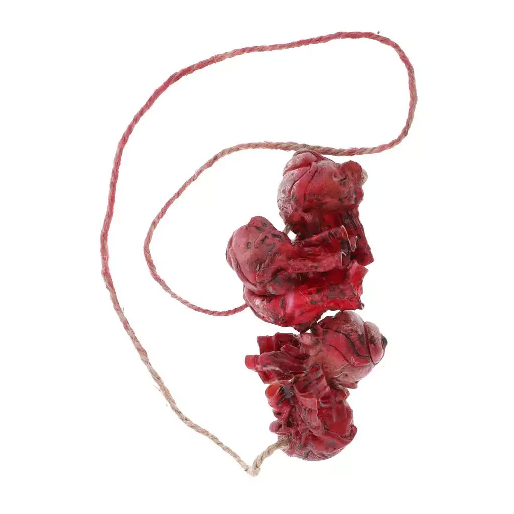 collier halloween yeux arraches 1