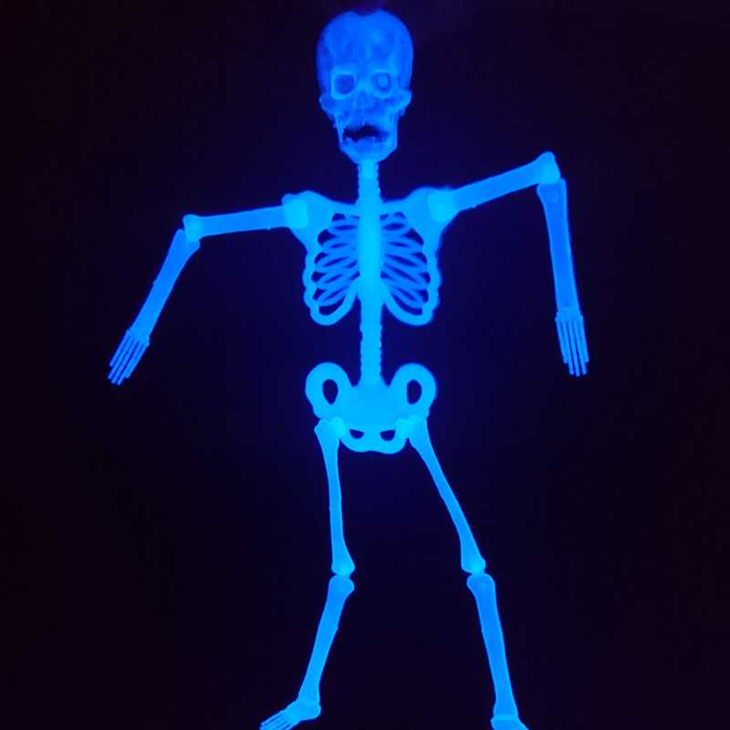 petit-squelette-articule-phosphorescent