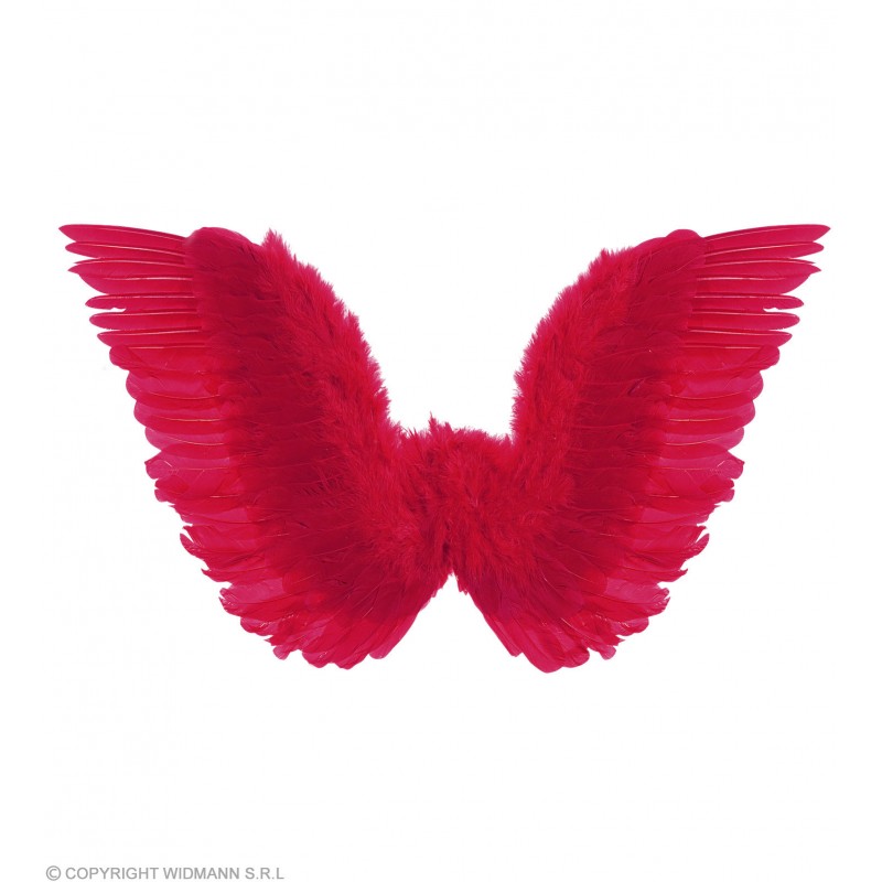 ailes-rouges-a-plumes-75-x-40-cm