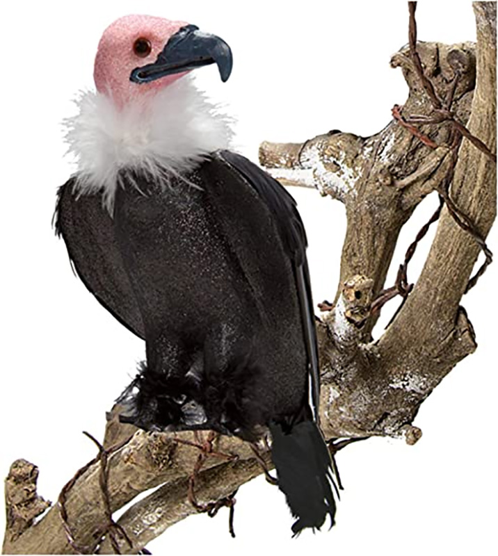 decor halloween vautour en plumes