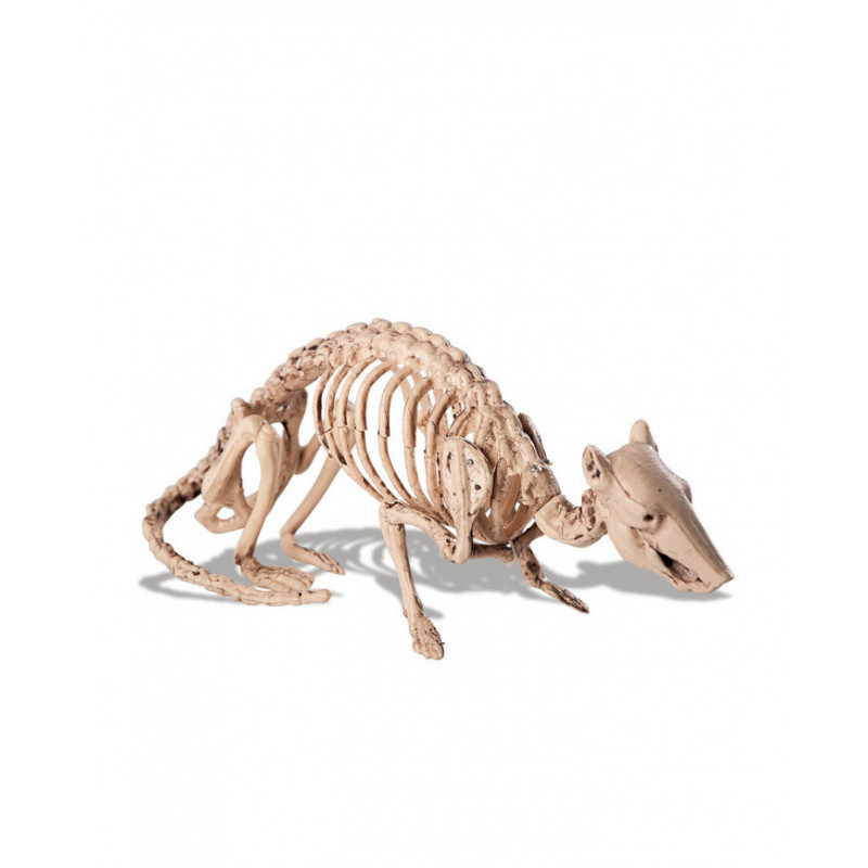 squelette-de-rat-32 cm x h 13 cm