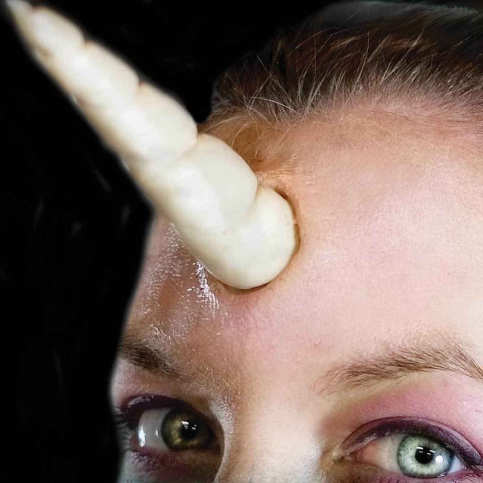 fx transfert licorne 2