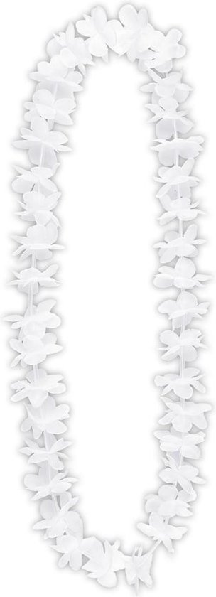 BOITE 25 COLLIERS HAWAI BLANCS 2