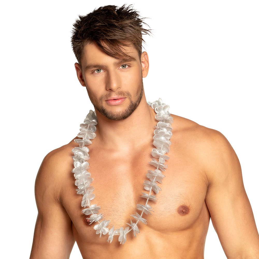 20 COLLIERS HAWAI ARGENT 1
