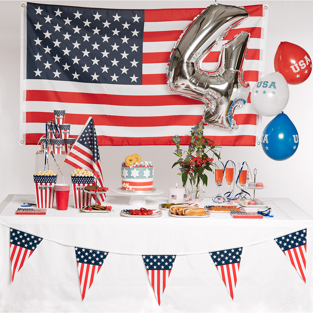 10 assiettes usa 23 cm 1