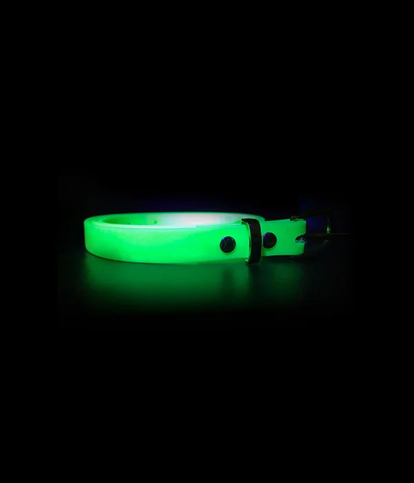 ceinture fluo