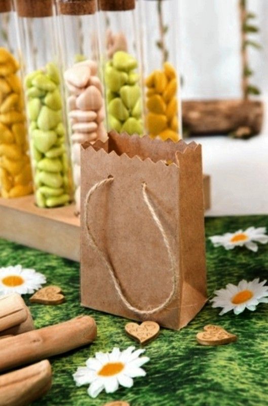 6 MINI SAC CRAFT 2