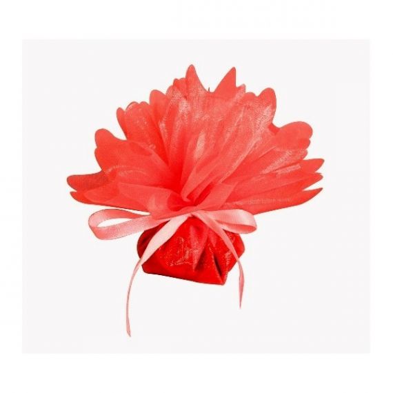 10 ronds cristal organza rouge dragee 1