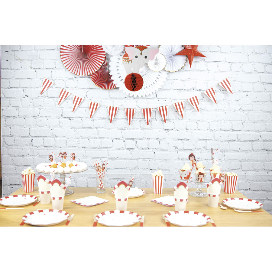 GUIRLANDE RAYEE ROUGE ET BLANC 1