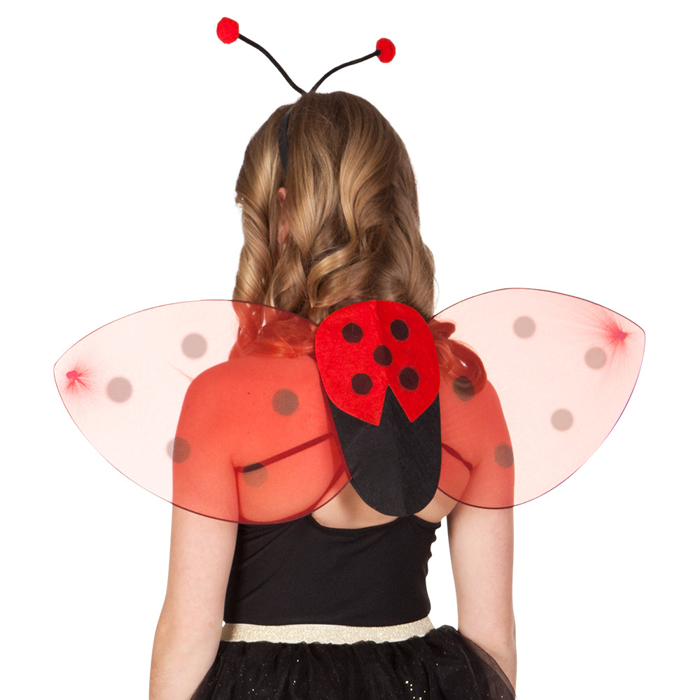 SET COCCINELLE 3