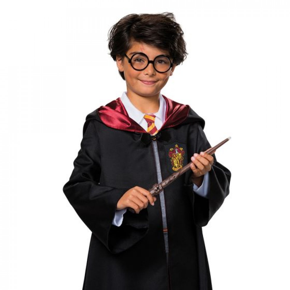 Kit Harry Potter baguette et lunettes