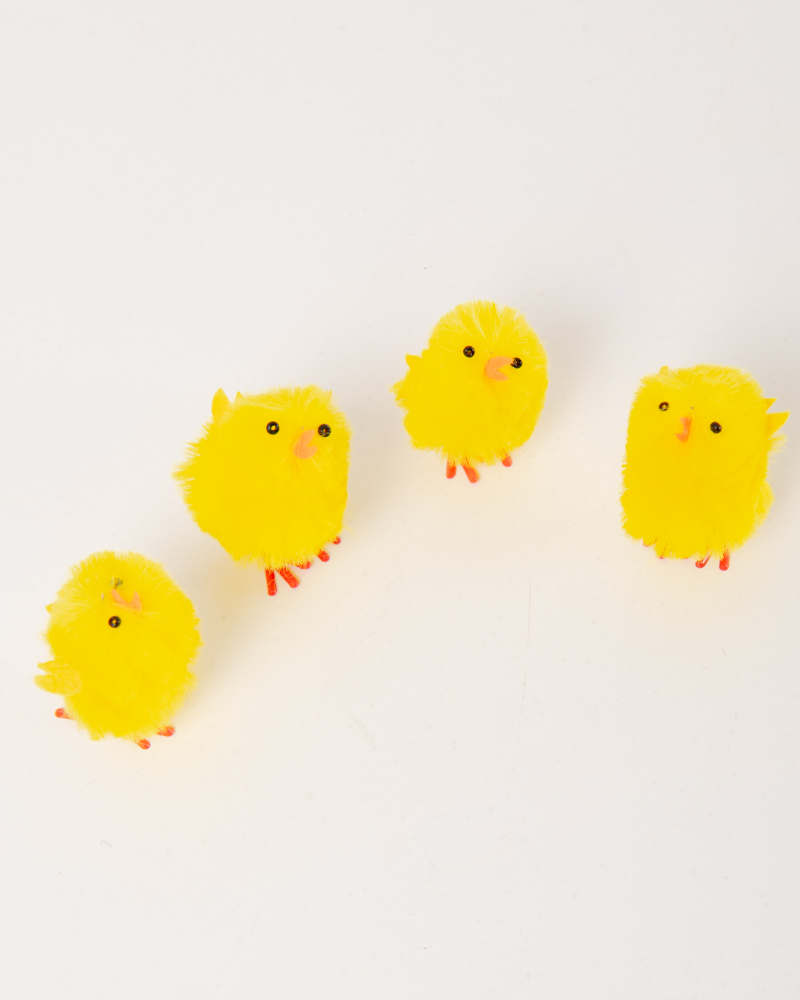 PLUMES 7 CM X 4