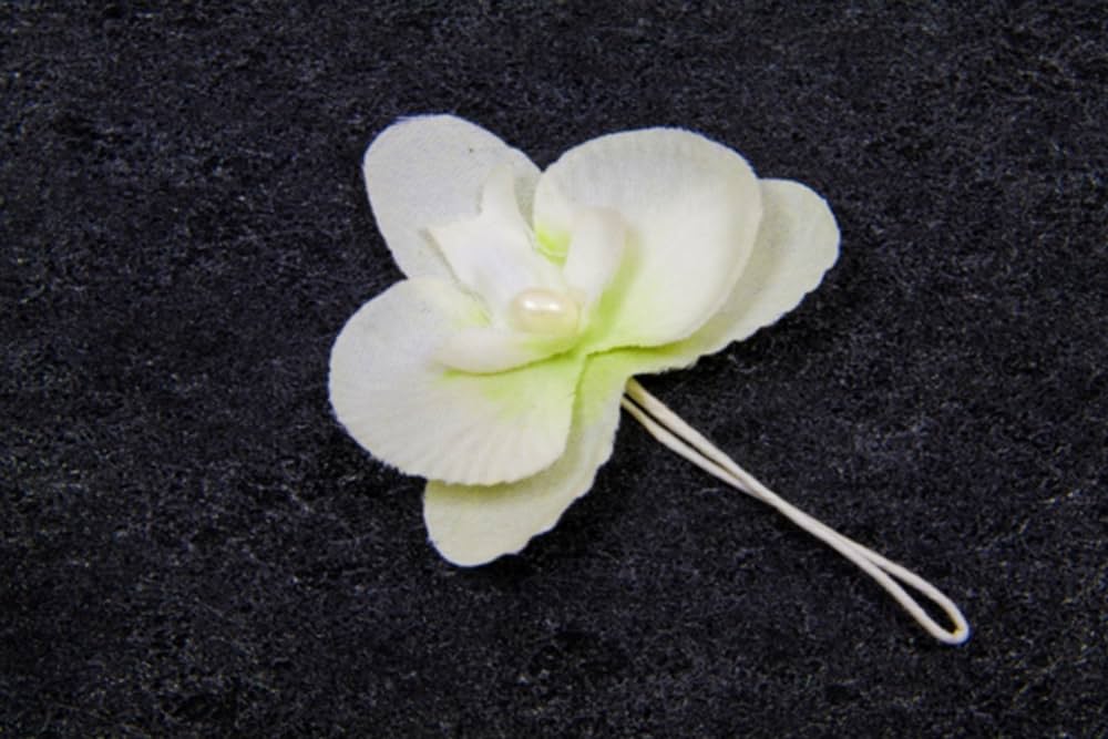 4 ORCHIDEE IVOIRE SUR TIGE 1