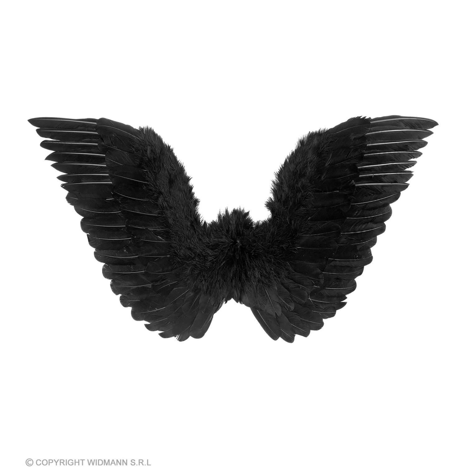 AILES PLUMES NOIRES 5