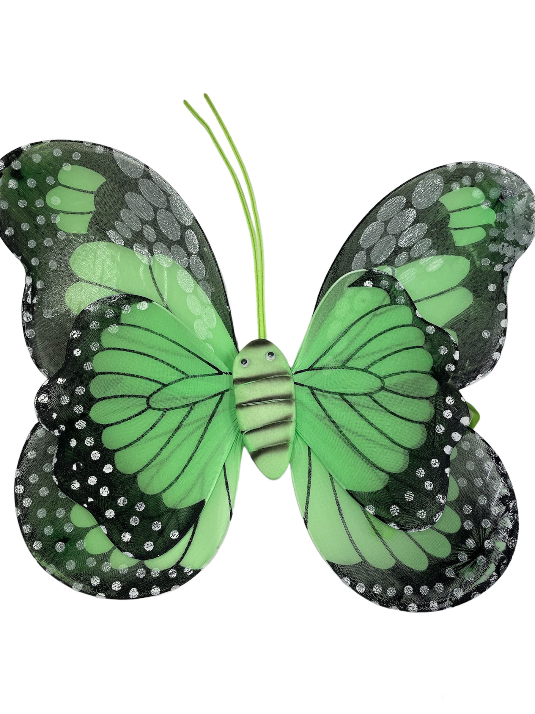 AILES DE PAPILLONS VERTES