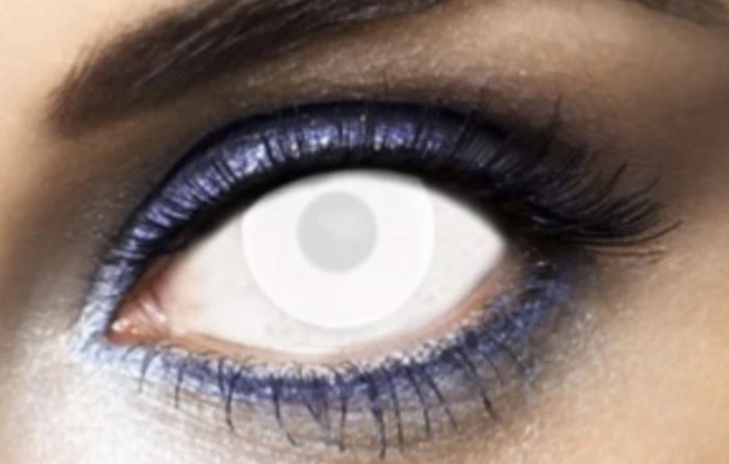 lentilles new white annuelles 1