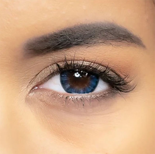 lentilles big eyes blue annuelles