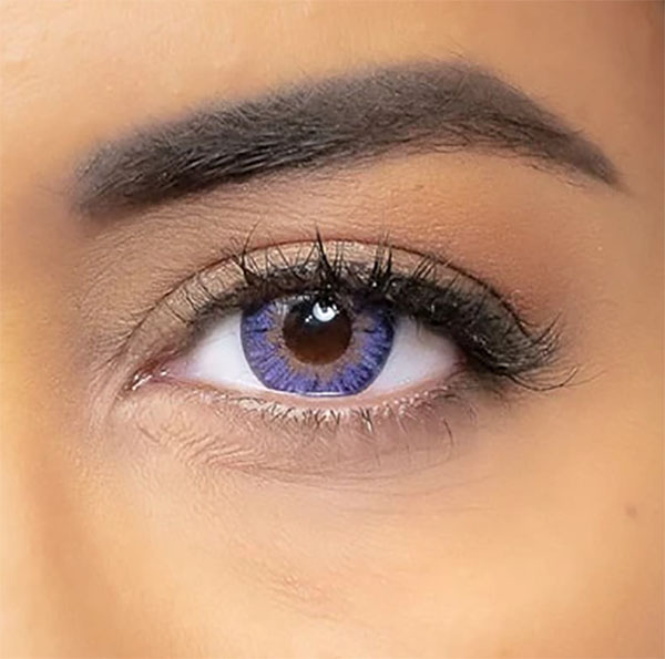 lentilles annuelles london violet