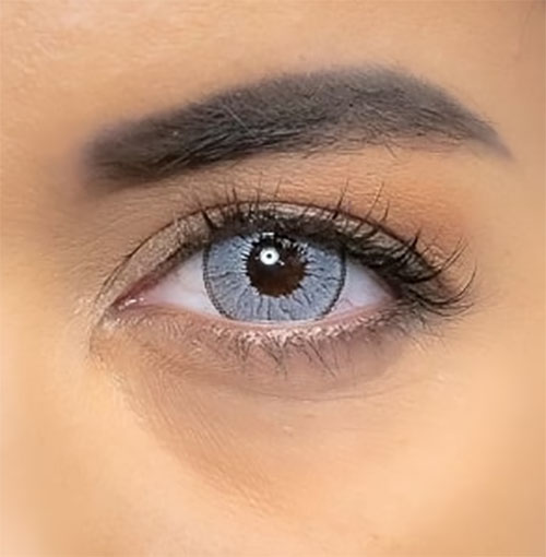 lentilles annuelles jewel silver