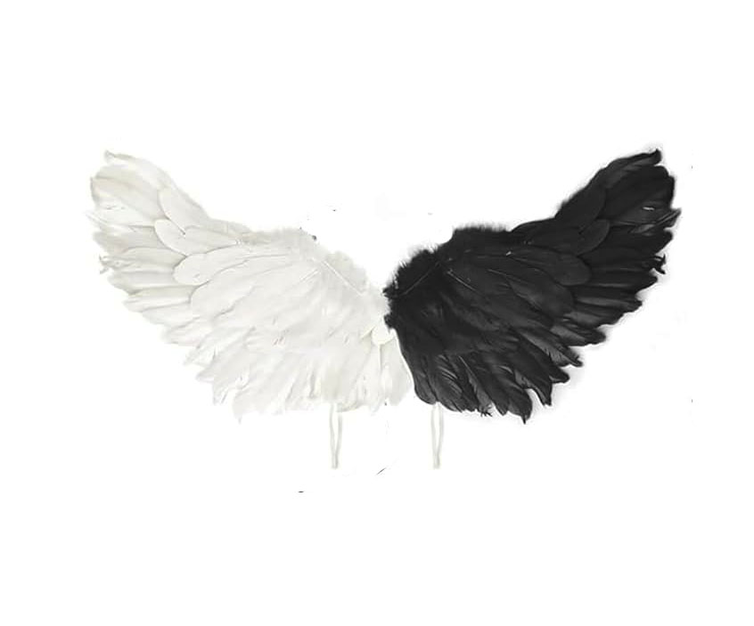 AILES PLUMES NOIRES ET BALNCHES 60 CM X 35 CM