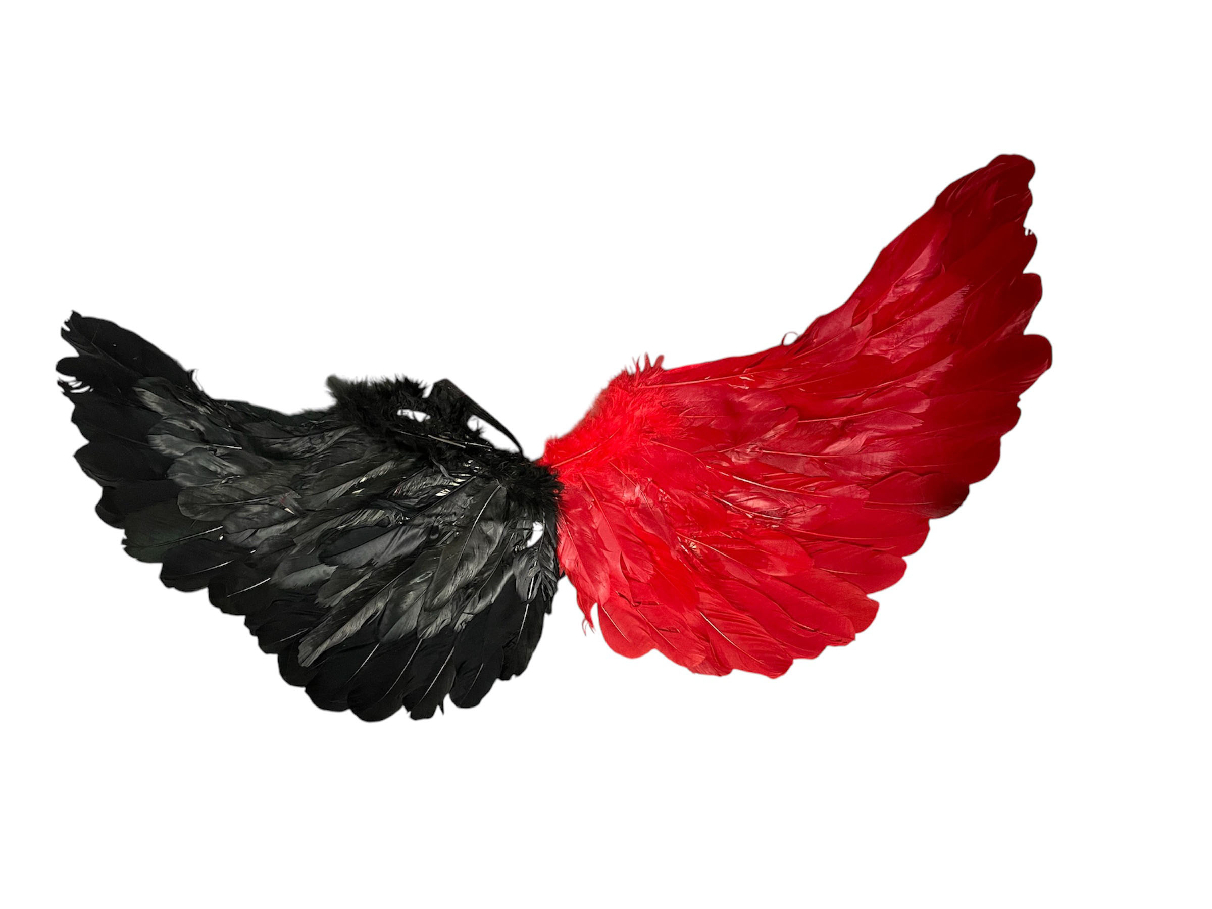 ailes en plumes noires et rouges