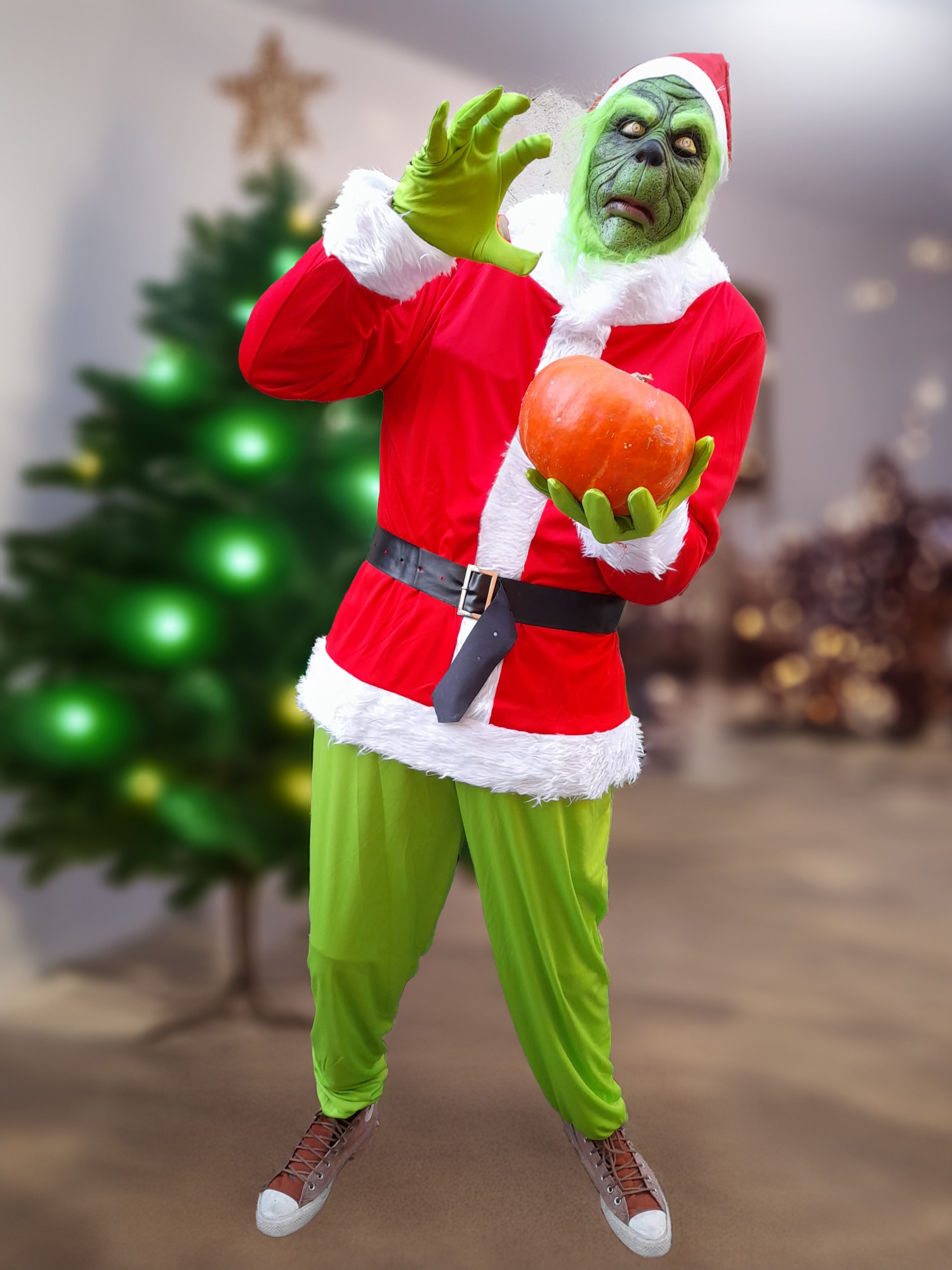 DEGUISEMENT GRINCH 1