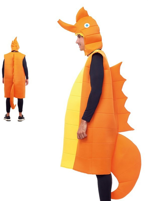 DEGUISEMENT ENFANT HIPPOCAMPE