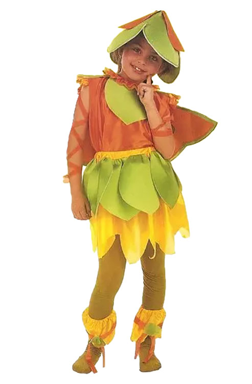 DEGUISEMENT PAPILLON fee elfe ENFANT