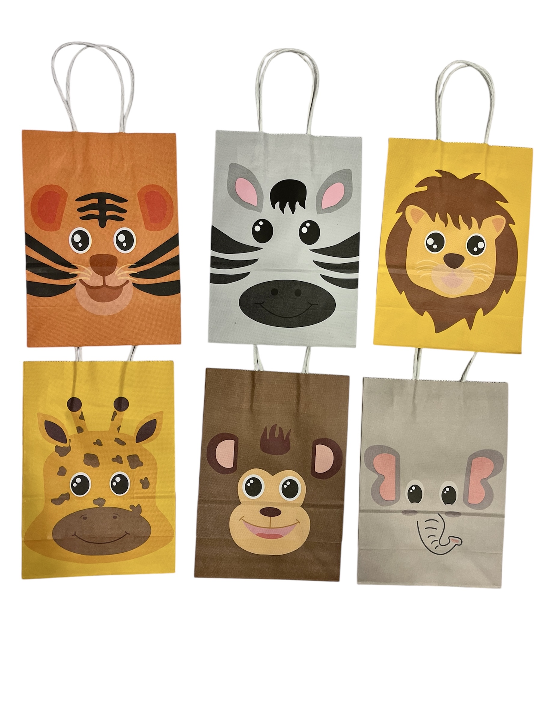 6 sachets surprises kraft savane jungle 1