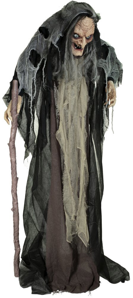 DECOR SORCIERE SUR PIED ANIMME 1