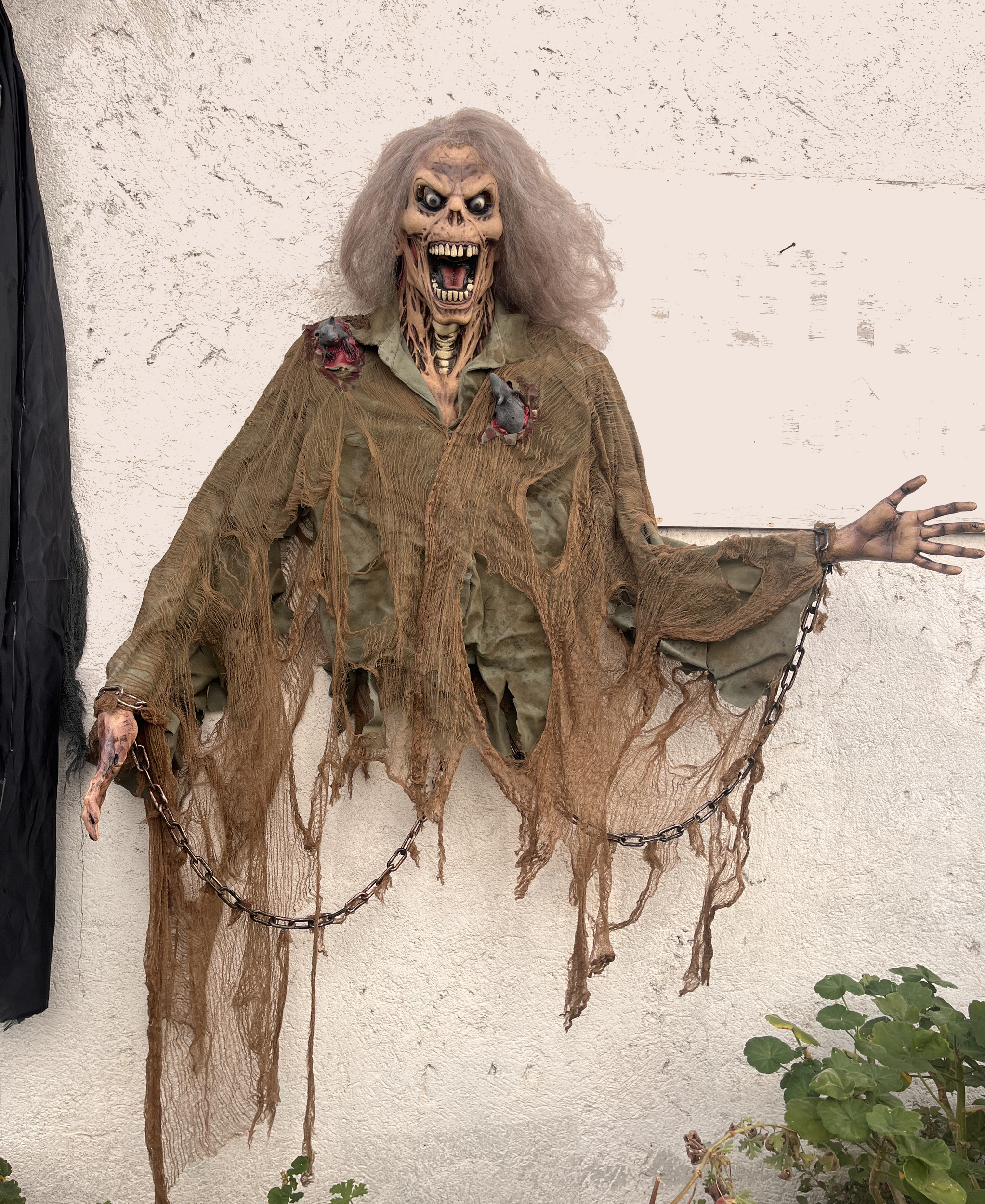 SUSPENSION ZOMBIE 2