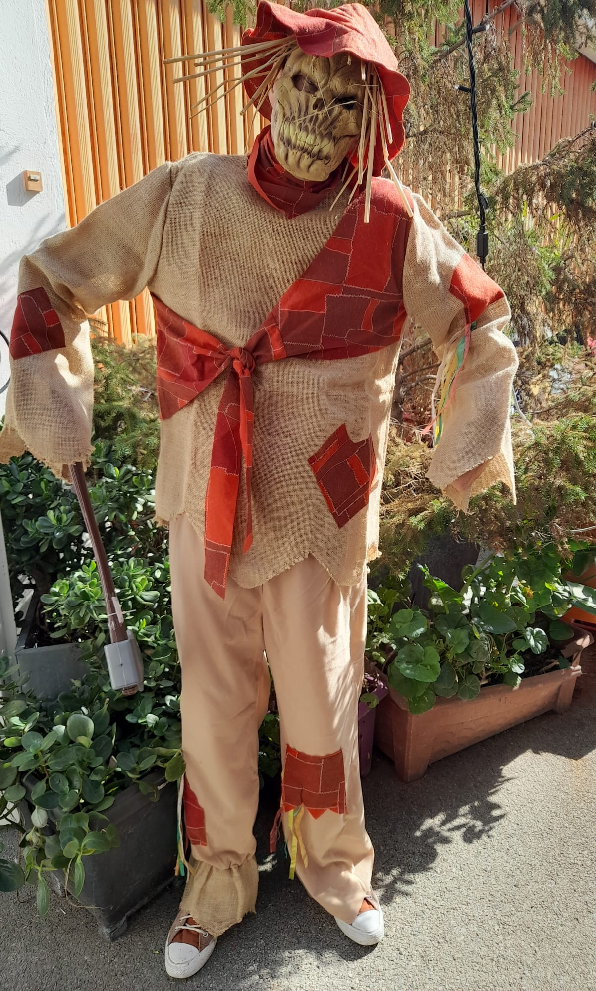 DEGUISEMENT EPOUVANTAIL HALOWEEN