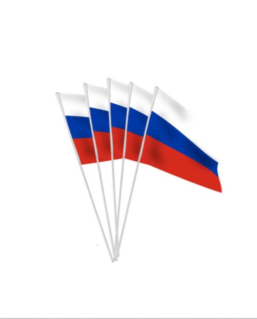 10 DRAPEAU RUSSIE 10 X 16 CM