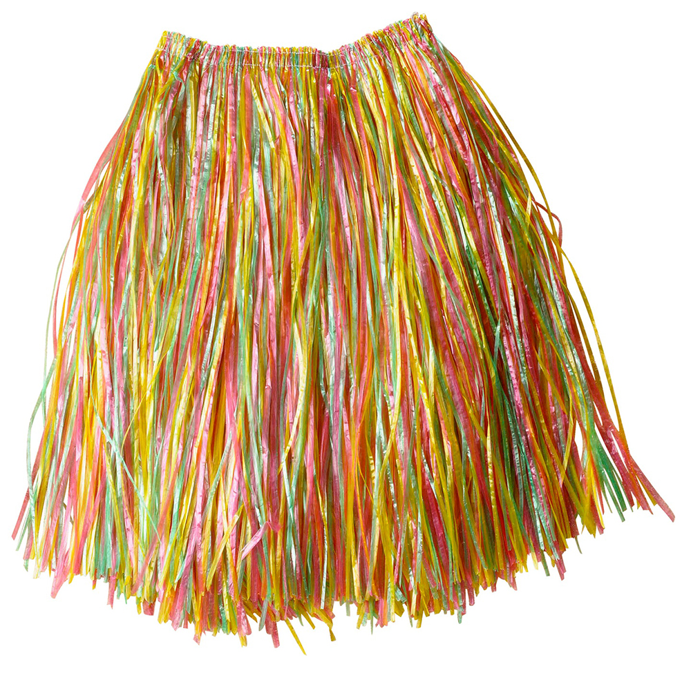 JUPE HAWAI MULTICOLORE 55 CM 2