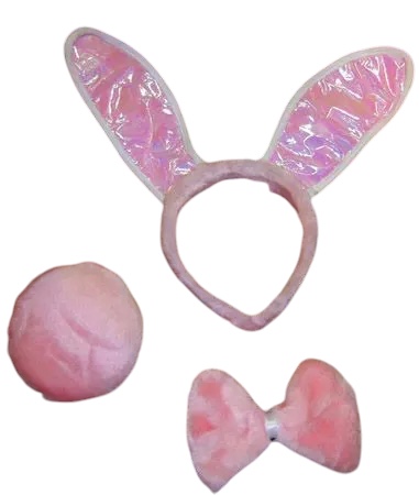 set lapin rose bunny , festival, pinup