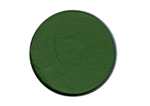 Aquacolor 15Gr Vert