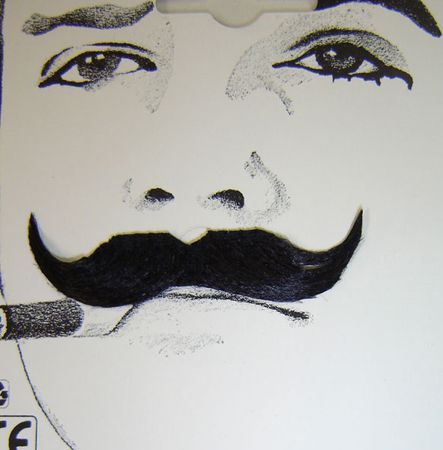 Moustache Élégant