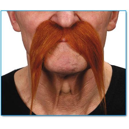 moustache-rousse-z