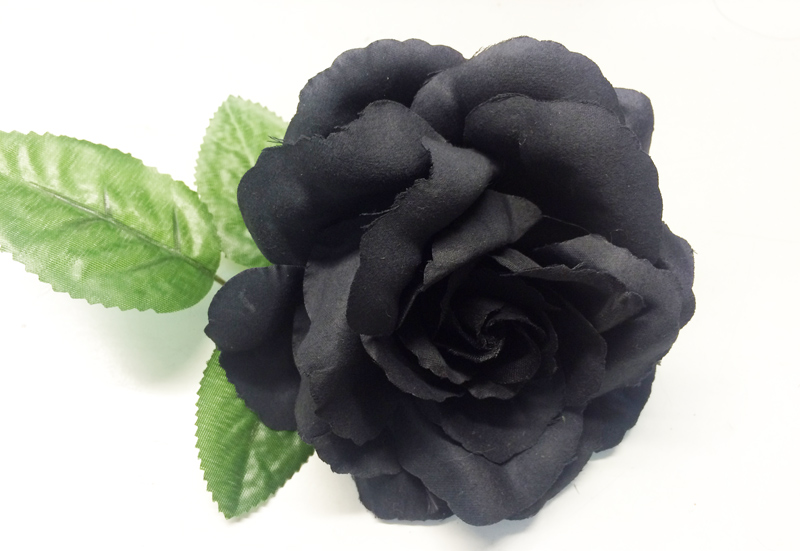 rose-noire-tige-z