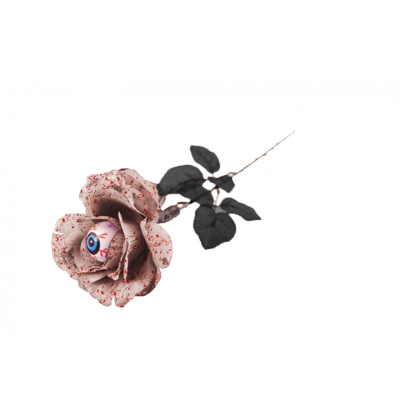 rose-sang-et-oeil-z