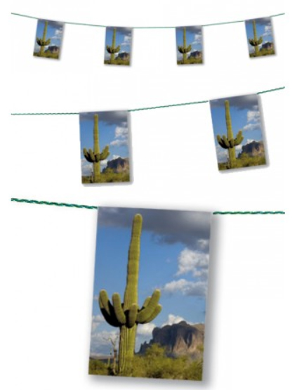 guirlande-desert-cactus-z
