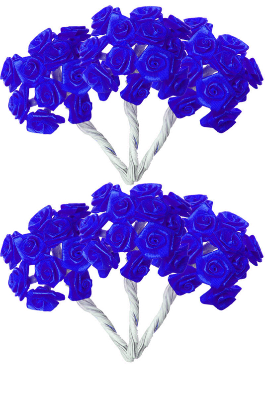 mini-rose-bleu-roy-z
