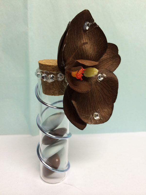 tube-orchidee-marron-z