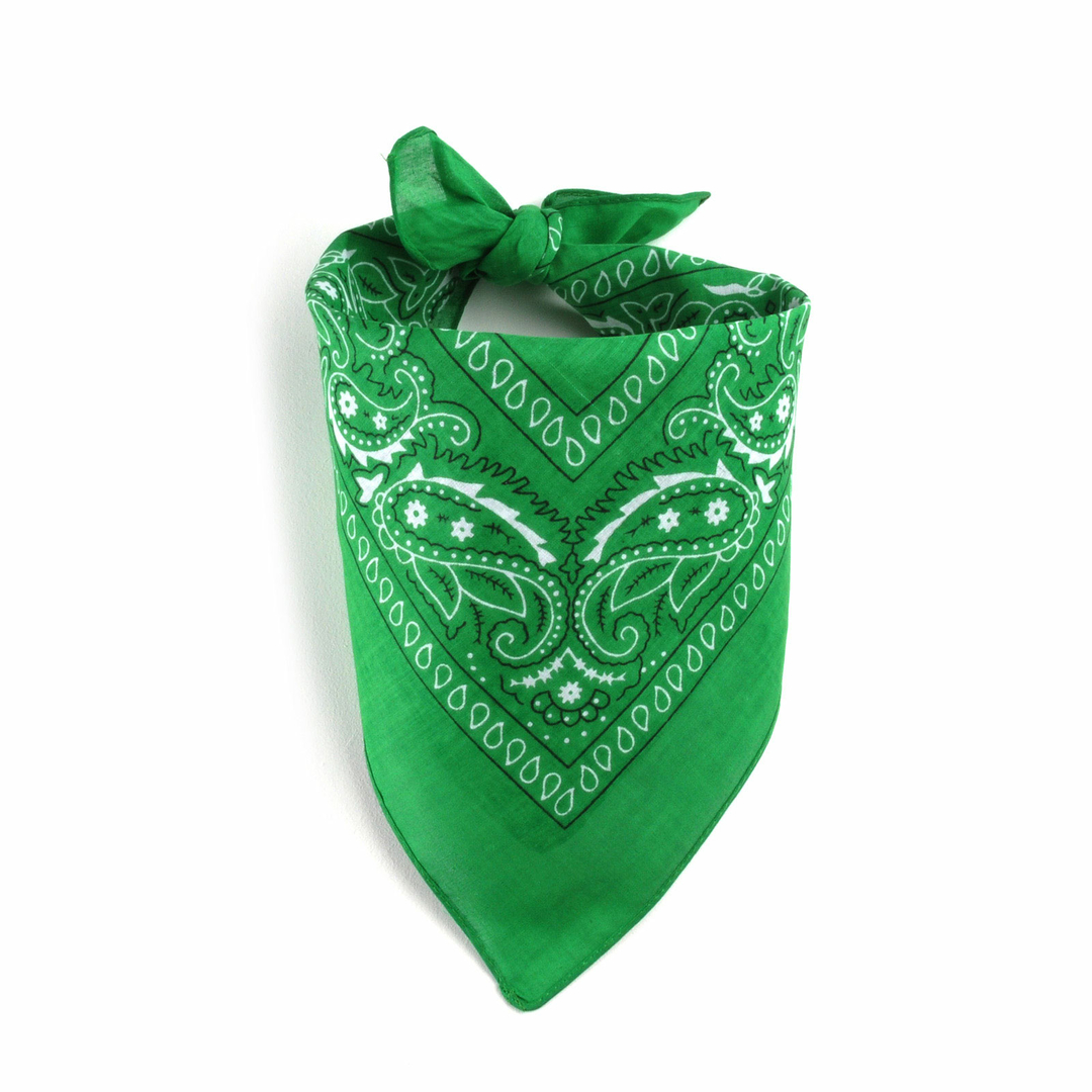 Bandana vert Accessoires/Bandanas