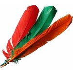 plume-indien