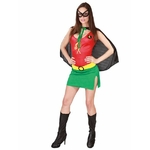 deguisment-super-heros-robine-z
