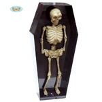 squelette anime dans cercueil